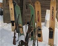 Лыжи охотничьи