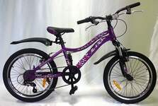 Велосипед 20" ТМ MAKS, BASKA V, рама 12"фиолетовый