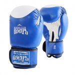 Боксерские перчатки BBG-01 DX Синие 12oz
