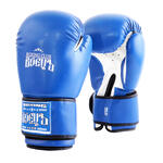 Боксерские перчатки BBG-02 DX Синие 12oz