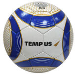 Мяч ф/б Викинг Tempus №5 белый/синий/золотой E53