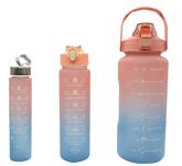 Набор из 3-х спортивных бутылок WB03-MATR поликарбонат (pink-blue)